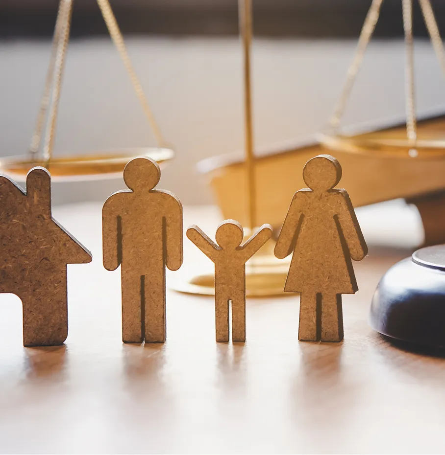 Family litigation